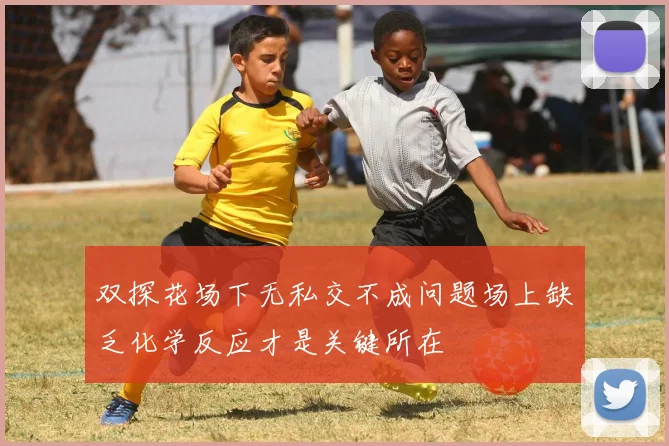 双探花场下无私交不成问题场上缺乏化学反应才是关键所在