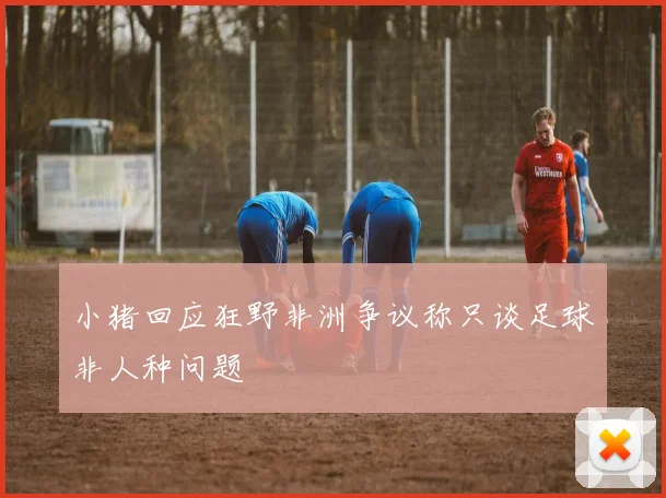 小猪回应狂野非洲争议称只谈足球非人种问题