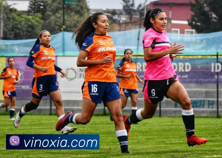 APP界面展示